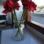 El Baladero Διαμέρισμα *