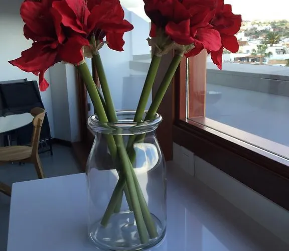 El Baladero Apartman *